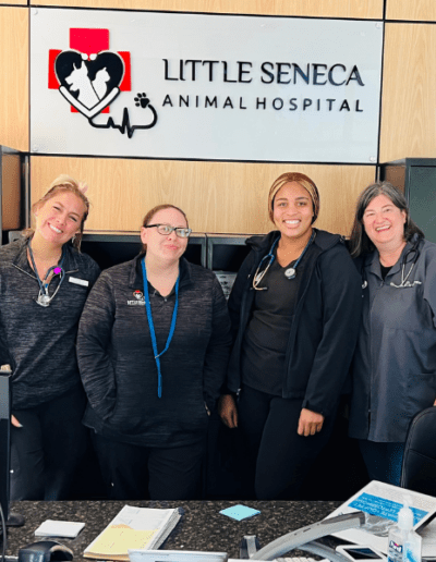 Little Seneca Animal Hospital team photo
